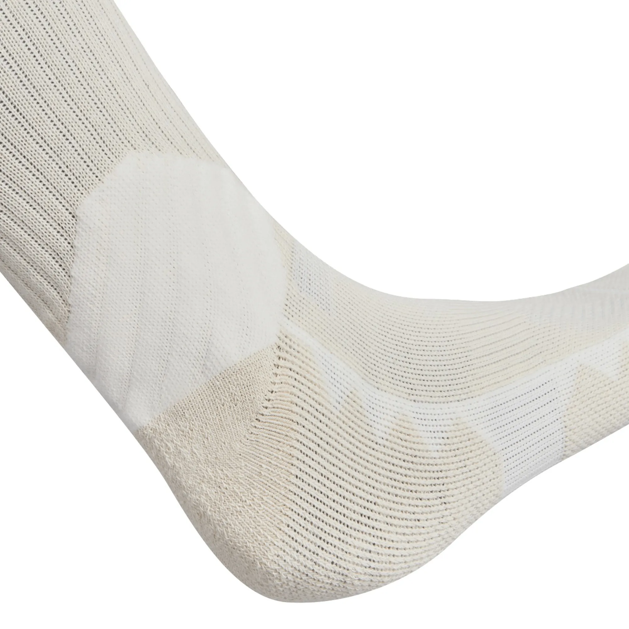 British & Irish Lions 25 Crew Training Socks by Canterbury