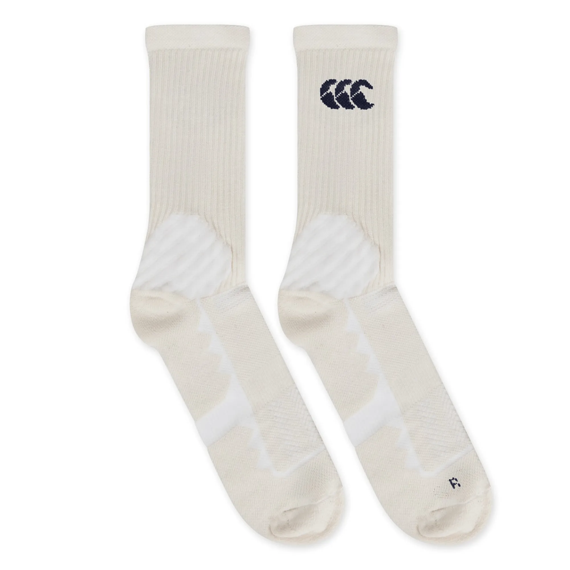 British & Irish Lions 25 Crew Training Socks by Canterbury