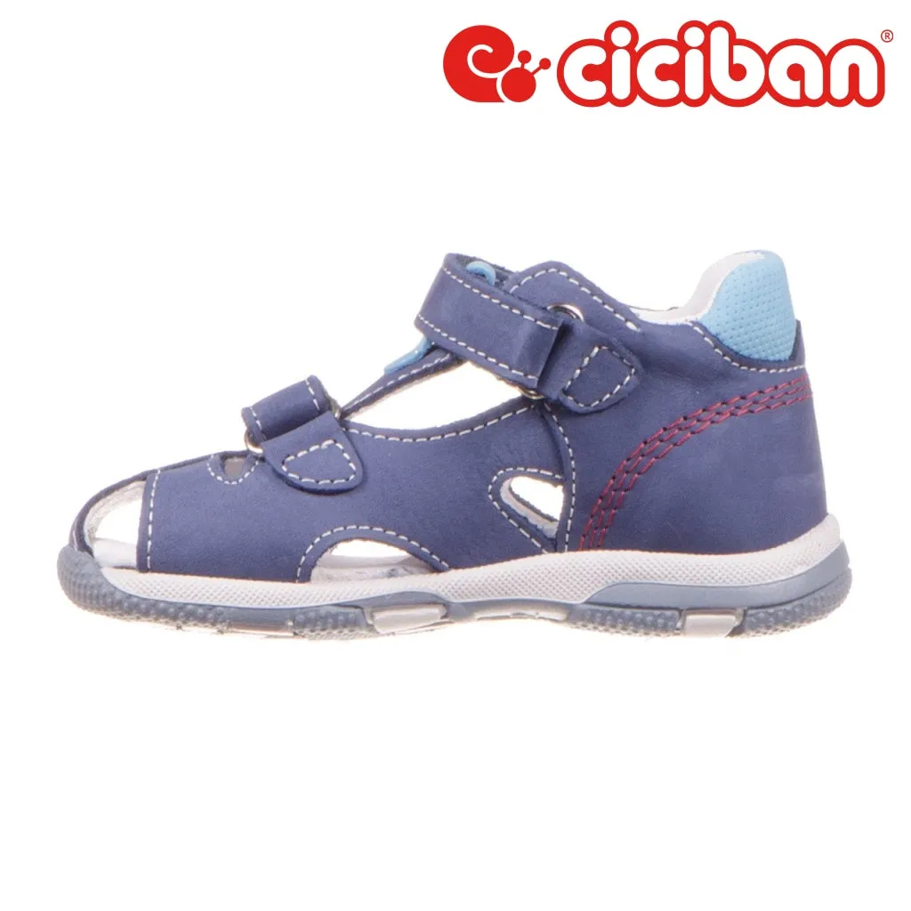 Ciciban Ocean 662