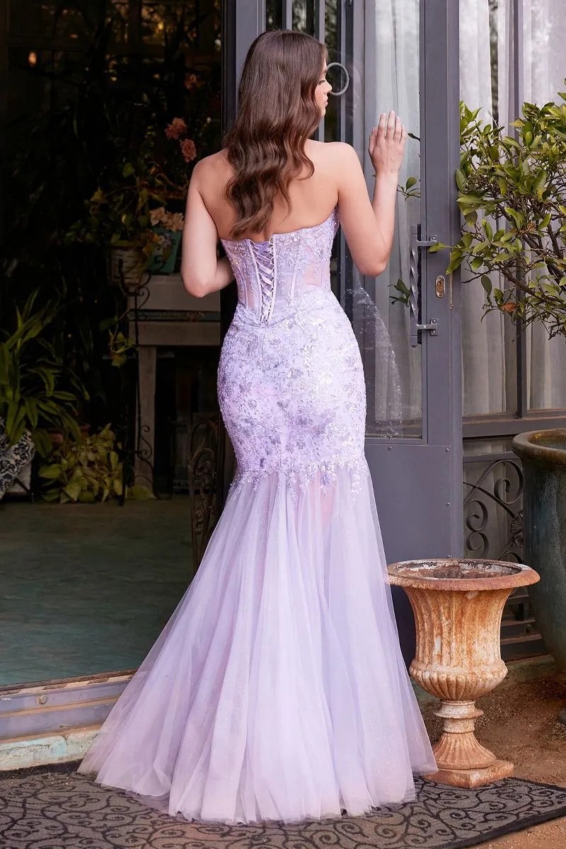 Cinderella Divine A1388