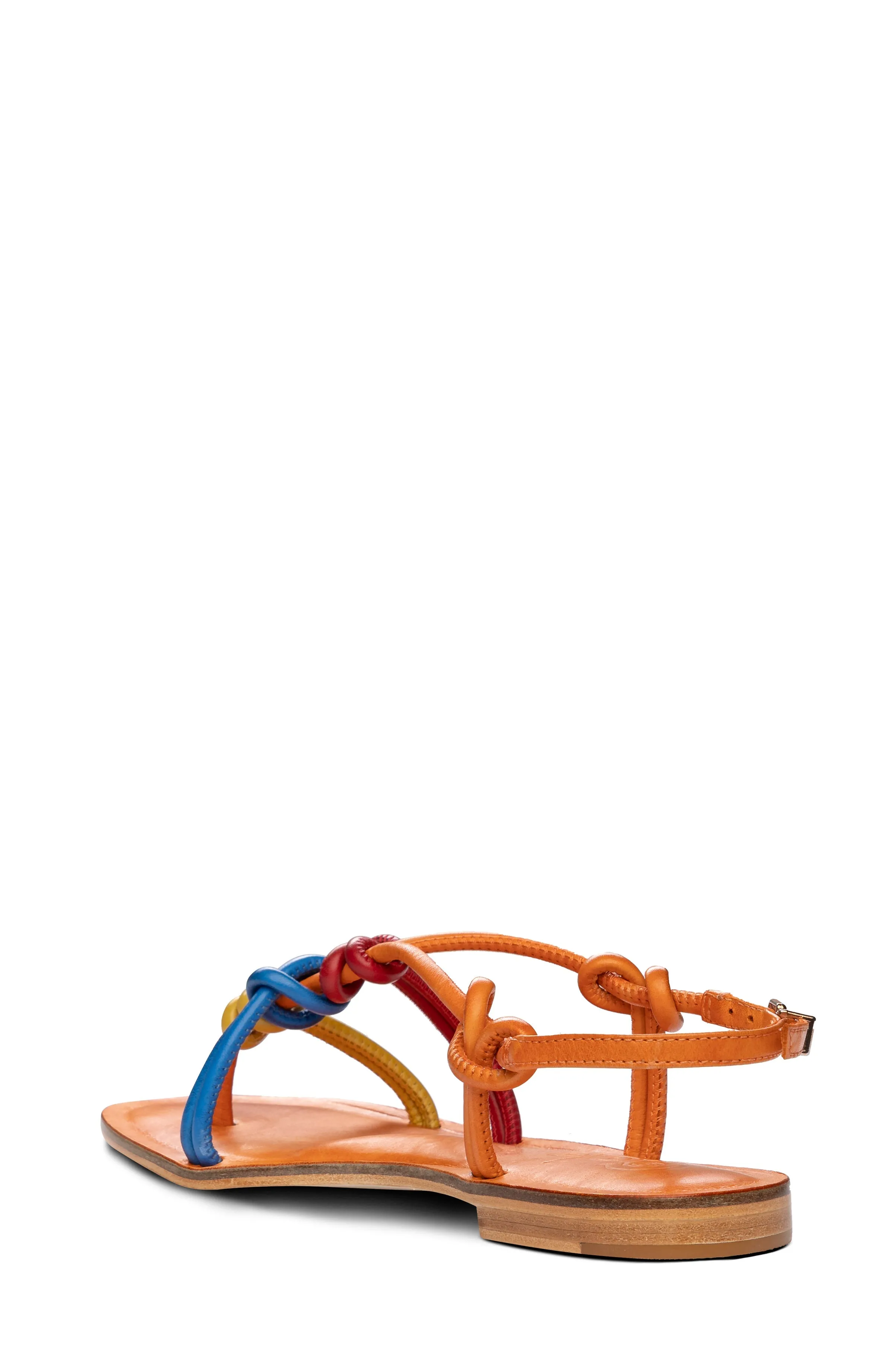 Forget Me Knot