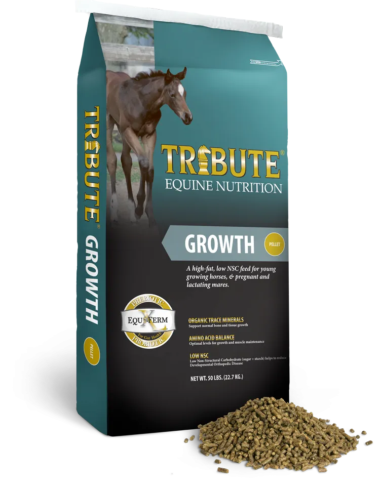 Growth Pellet    916P