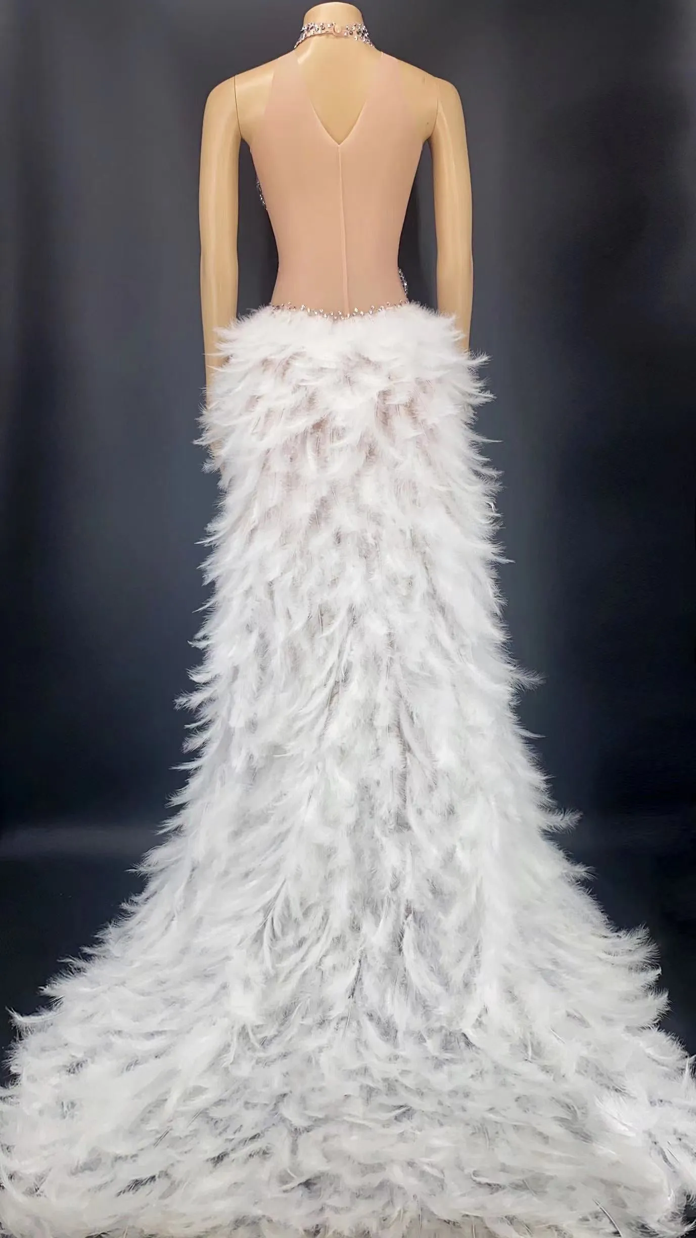 Sparkly Rhinestones Feather Train Long Velvet Dress