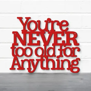 Wood Wall Art Sign Youre Never Too Old For Anything by Spunky Fluff