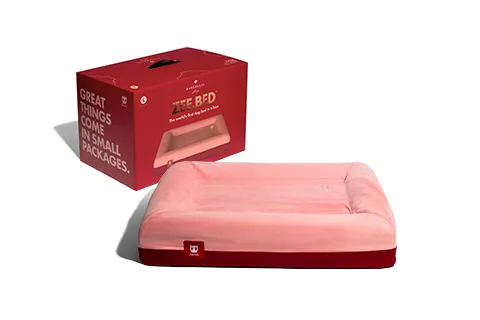 Zee.Bed Najima